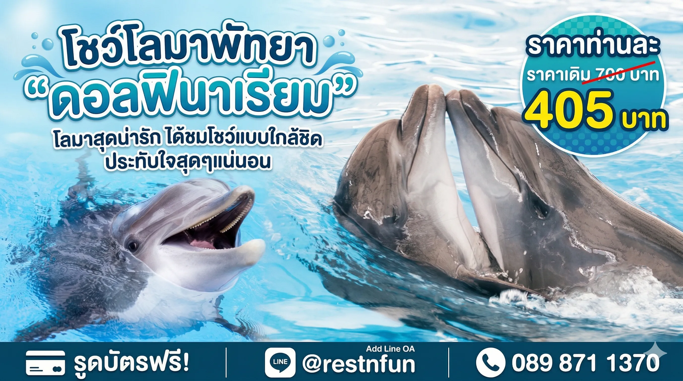 ชมโชว์โลมาที่พัทยาดอลฟินาเรียม ราคาดีมาก ส่วนลดเยอะเลย